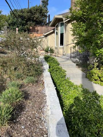 Stone-edged planting bed with lavender and ornamental grasses along a path