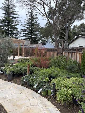Pergola and planting bed along a backyard path