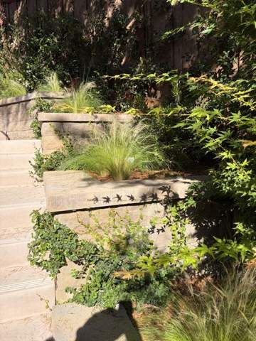 Terraced retaining walls with planting on a hillside