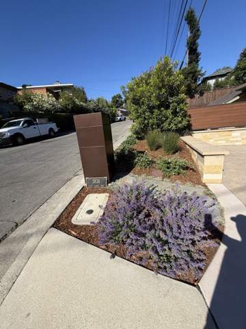 Curbside planting strip with lavender near a mailbox
