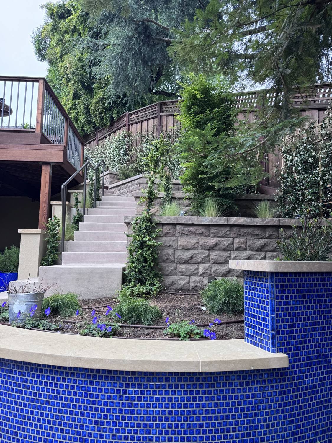 Terraced planting beds and stairs beside a pool and spa